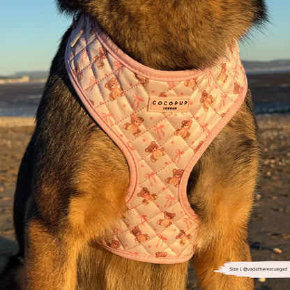 Thea Teddy Harness