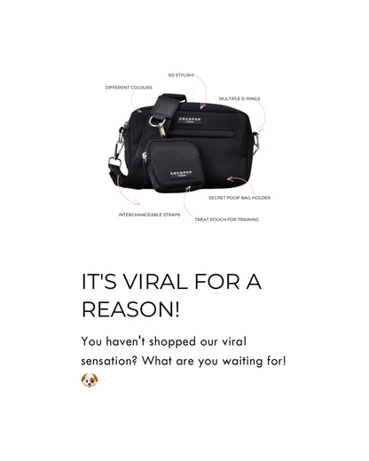 The Viral Dog Walking Bag