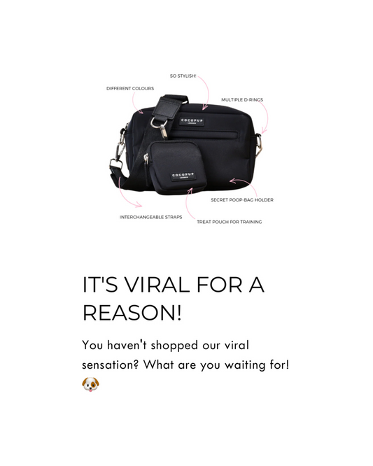 The Viral Dog Walking Bag