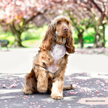 Pearly Pup Harness
