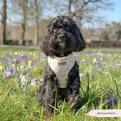 Farmyard Harness