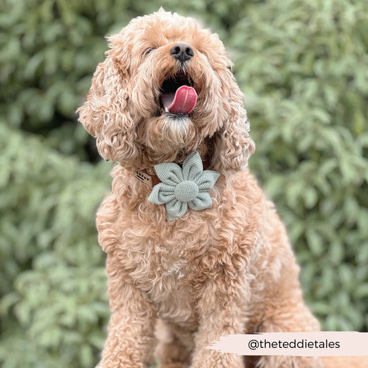 Sage Flower Bow Tie