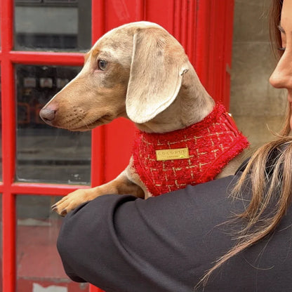 The Duchess Harness - Bridgerton