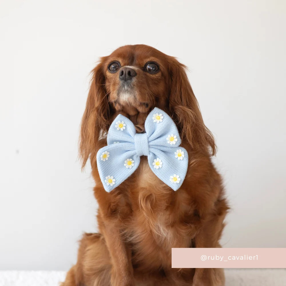 Blue Daisy Dream Sailor Bow