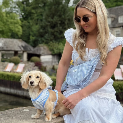 English Blue Harness