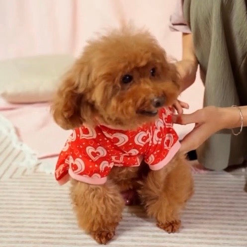 Valentine’s Pupper Pajamas