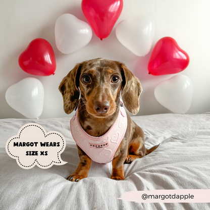 Pink Heart Harness, Leash and Collar Bundle