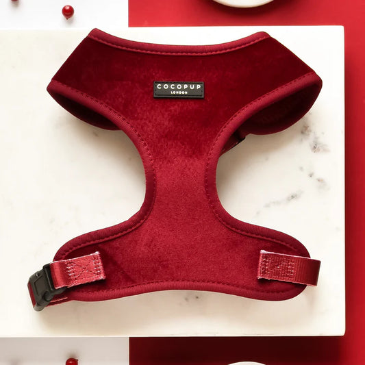 Luxe Red Velvet Harness