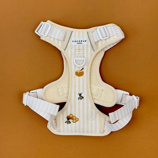 Honey Meadow Explore Harness - XL
