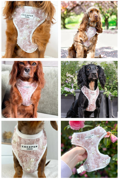 Pearly Pup Harness