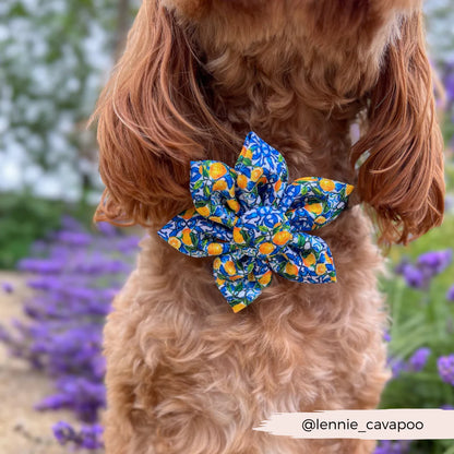 Amalfi Flower Bow