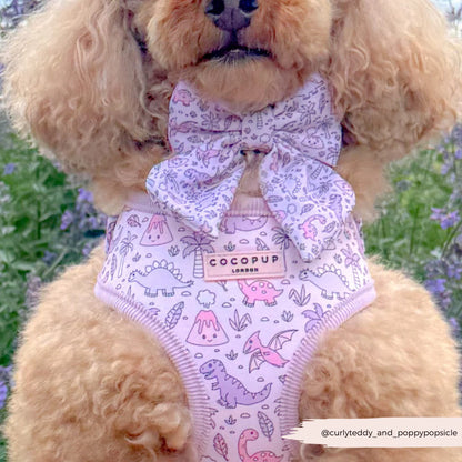Princess Dino Harness
