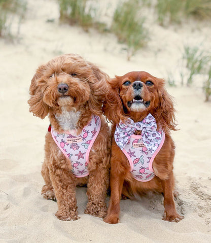 Pawcific Harness