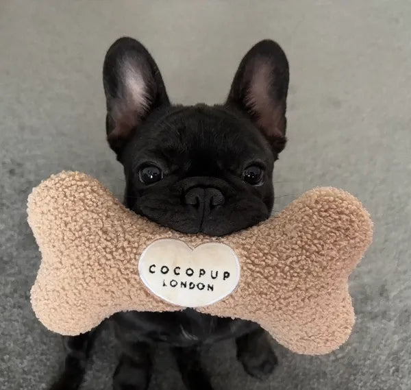 Teddy Bone Dog Toy