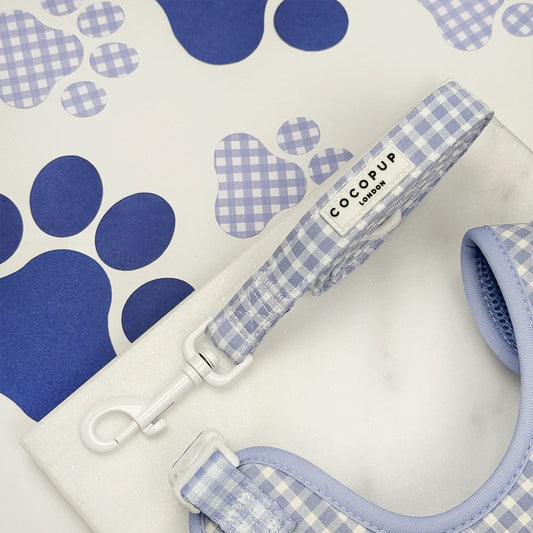 English Blue Leash