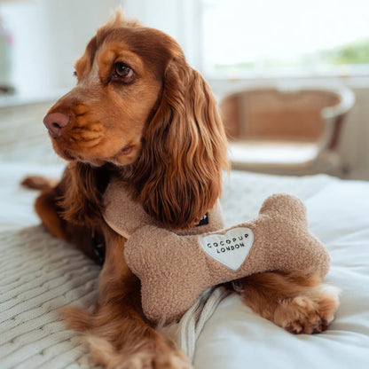 Teddy Bone Dog Toy