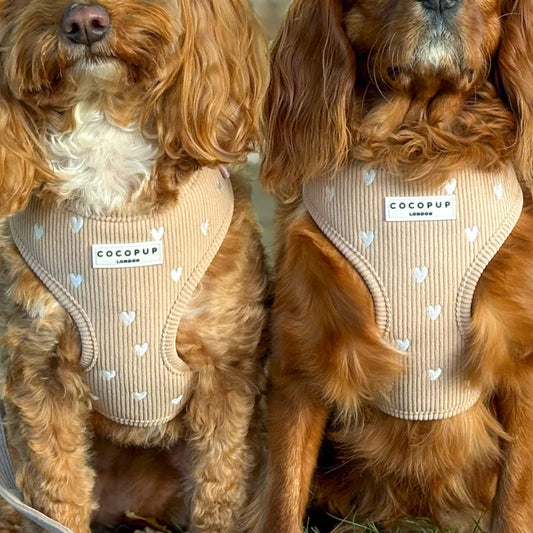 Chai Hearts Harness