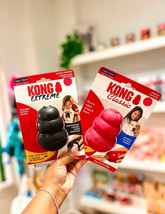 KONG Classic Stuffable Dog Toy (Large)