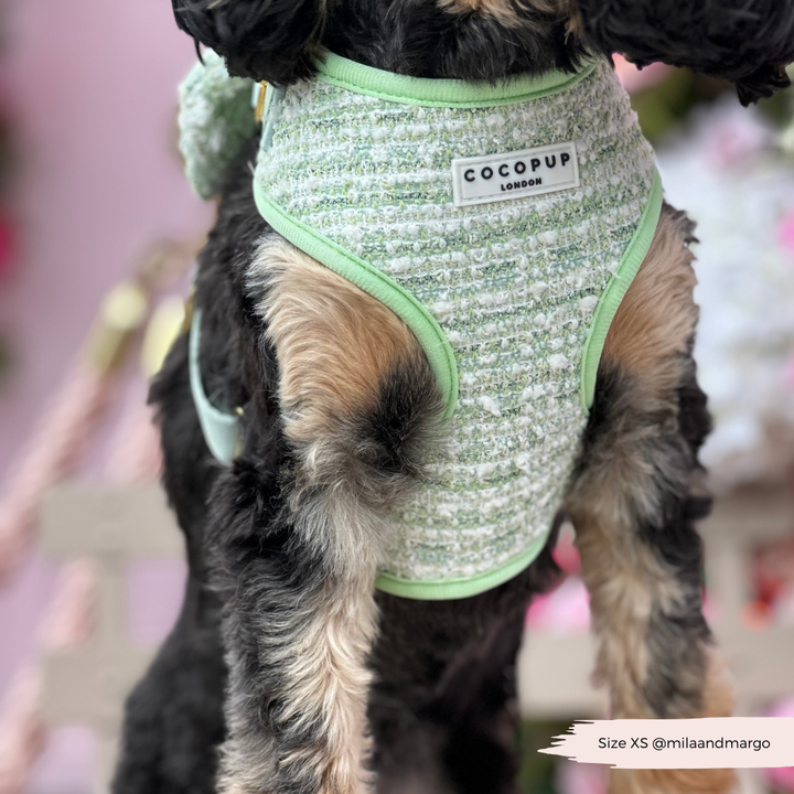 Matcha Tweed Harness - Bridgerton