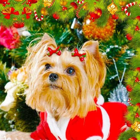 Christmas Dog Hair Mini-Bows