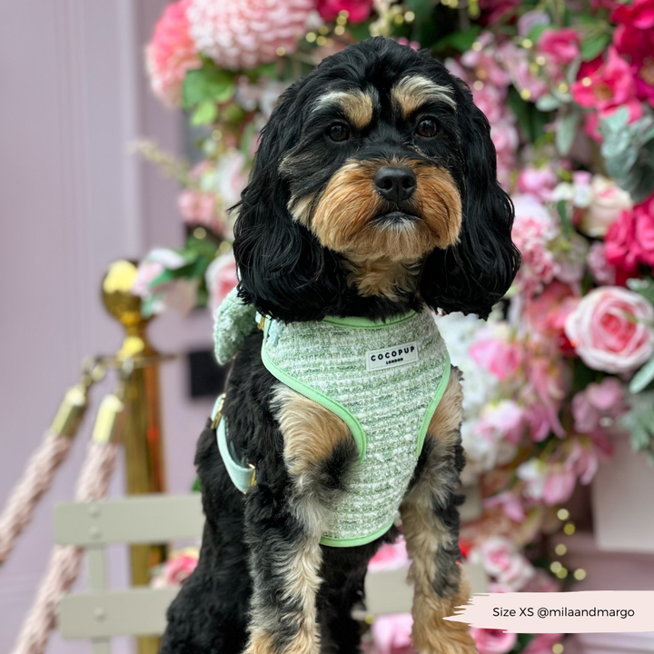 Matcha Tweed Harness - Bridgerton