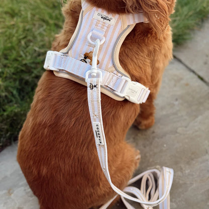 Honey Meadow Leash