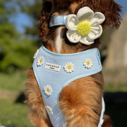 White Daisy Flower Bow