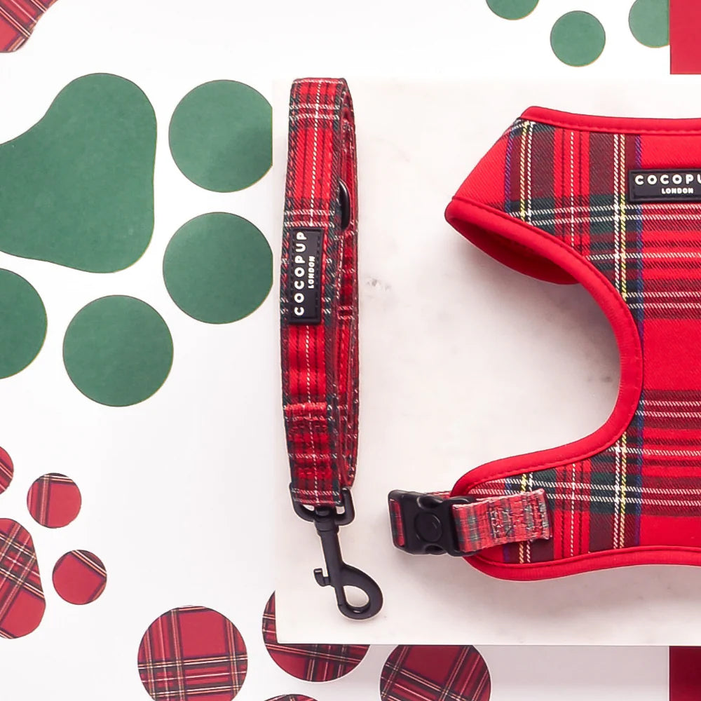 Tartan Leash