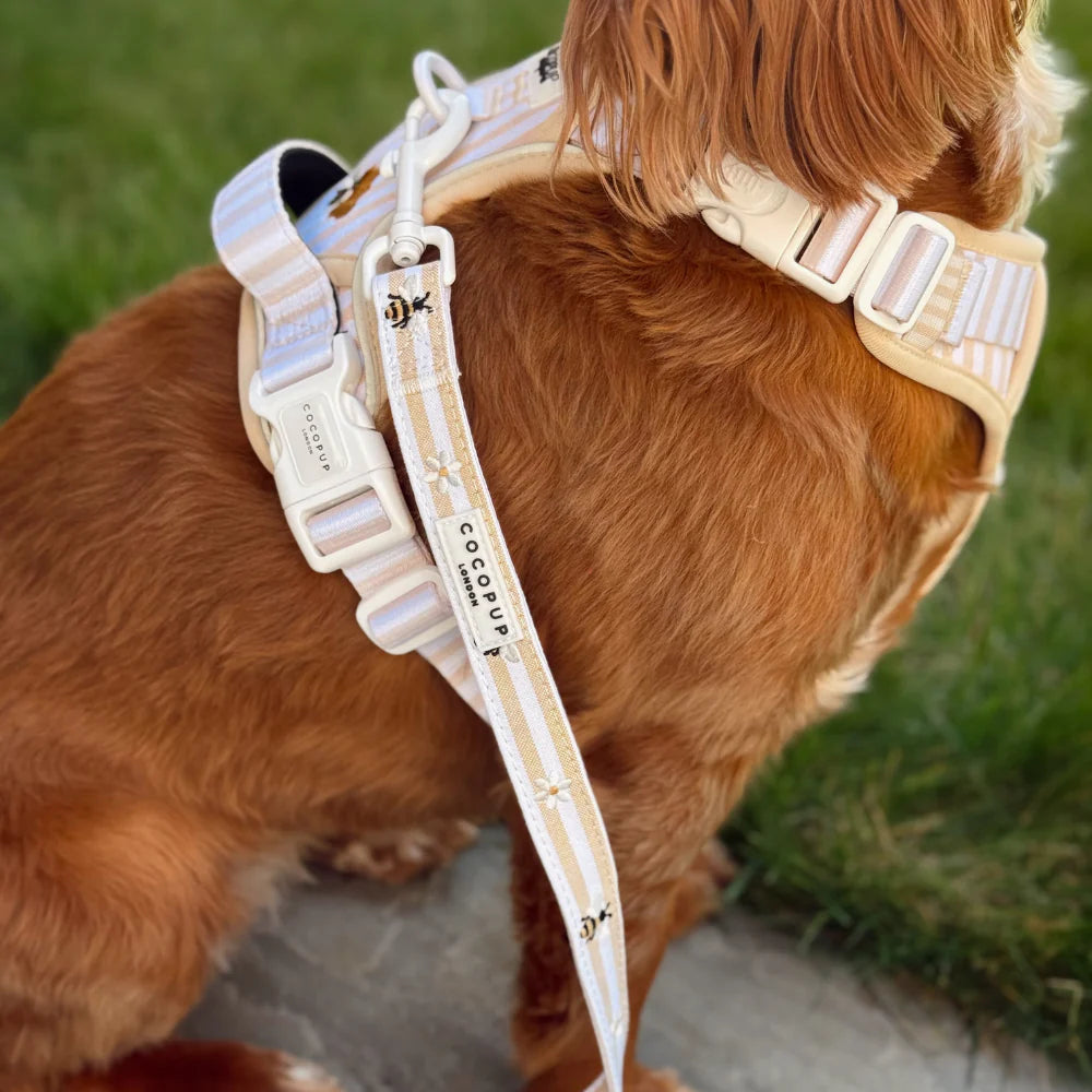 Honey Meadow Leash