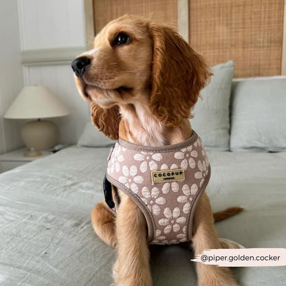 Mocha Flower Harness