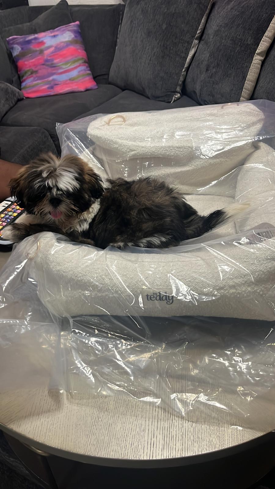 Bouclé Luxury Dog Car Seat (Accepting Pre-Orders)