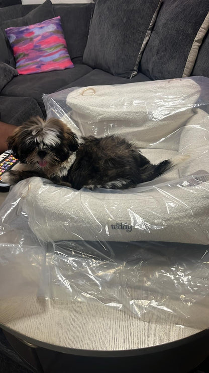 Bouclé Luxury Dog Car Seat (Accepting Pre-Orders)