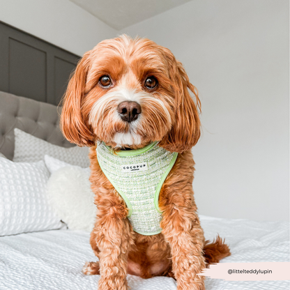 Matcha Tweed Harness - Bridgerton