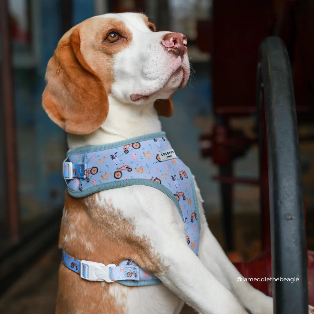 Barnyard Harness