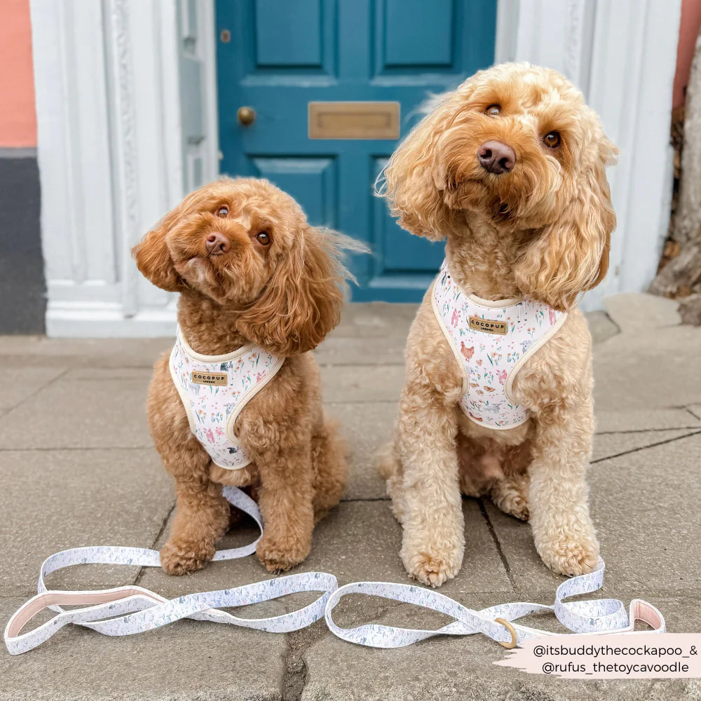 Farmyard Harness