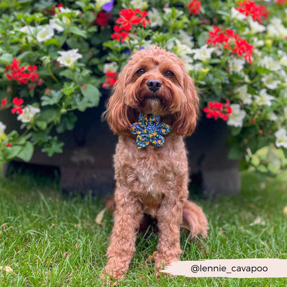 Amalfi Flower Bow