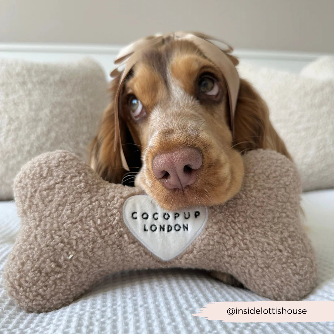 Teddy Bone Dog Toy