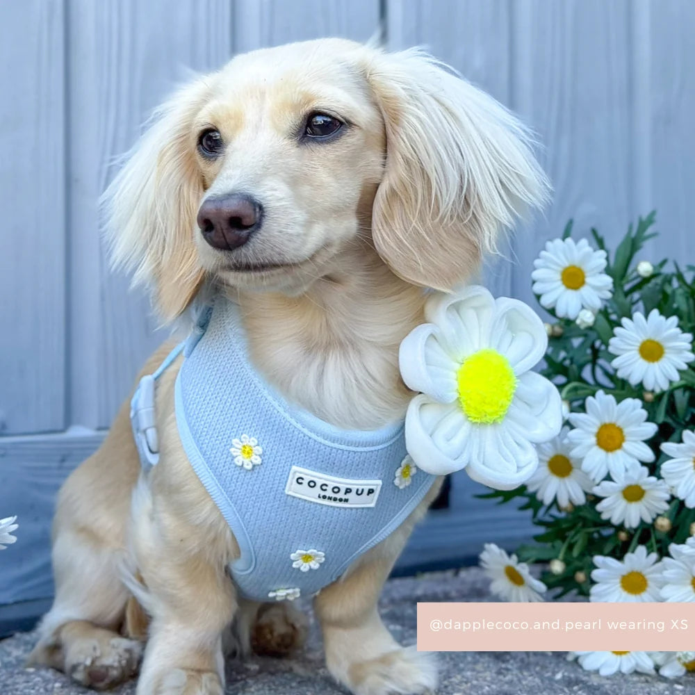 Blue Daisy Dream Harness