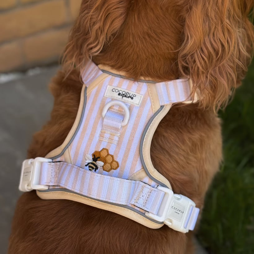 Honey Meadow Explore Harness - XL