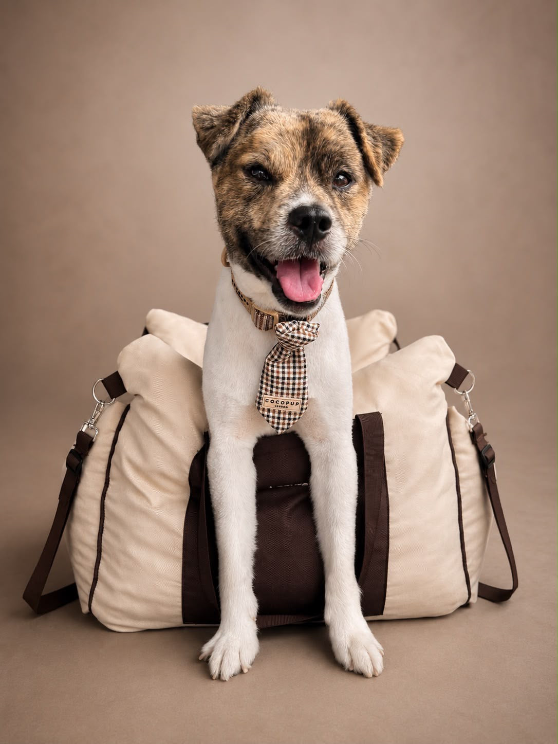 Lesüre Dog Car Seat (Beige or Pink)