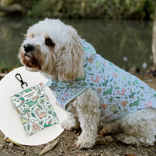 Dino-Paw Dog Raincoat