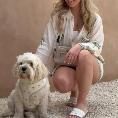 Palm Springs Harness