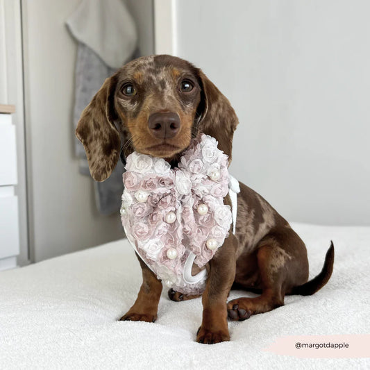 Pearly Pup Sailor Bow Tie