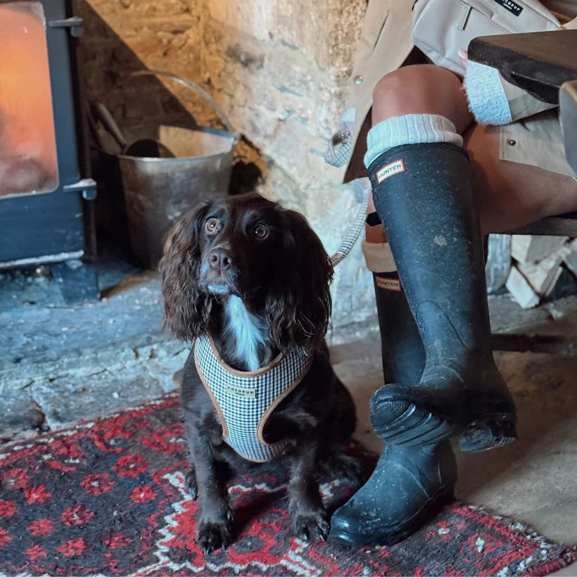 Heritage Harness