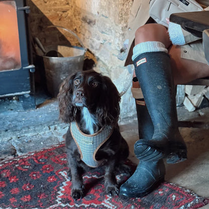 Heritage Harness