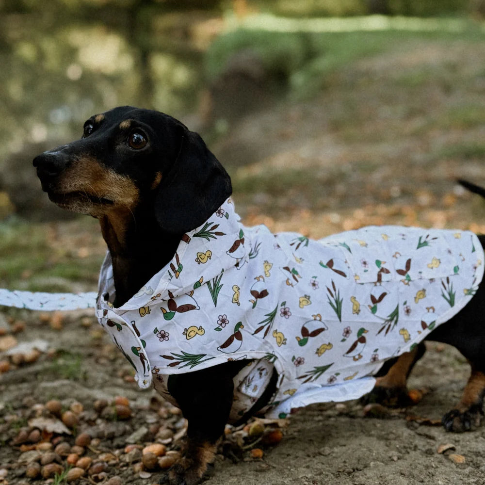 Puddle Quack Dog Raincoat