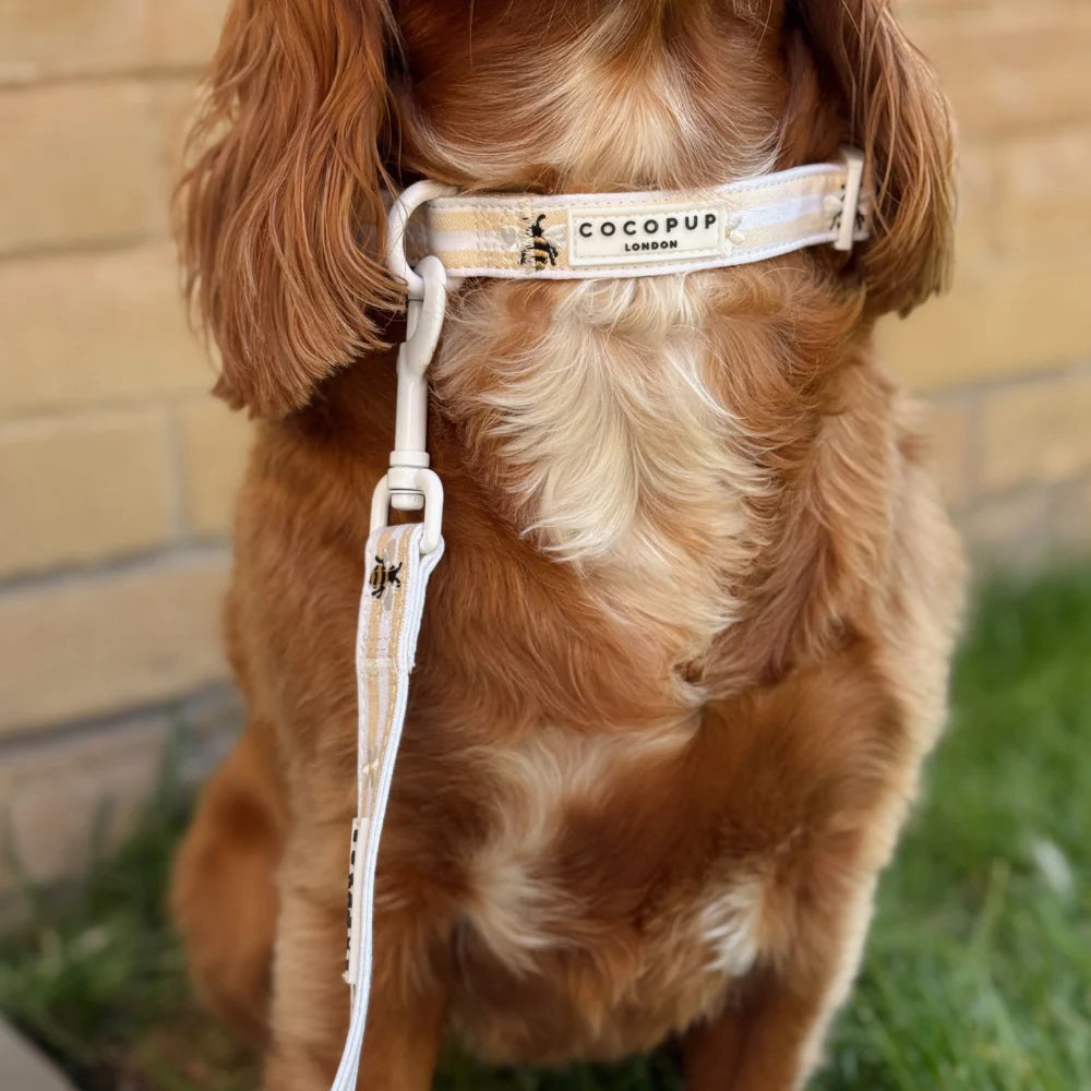 Honey Meadow Leash