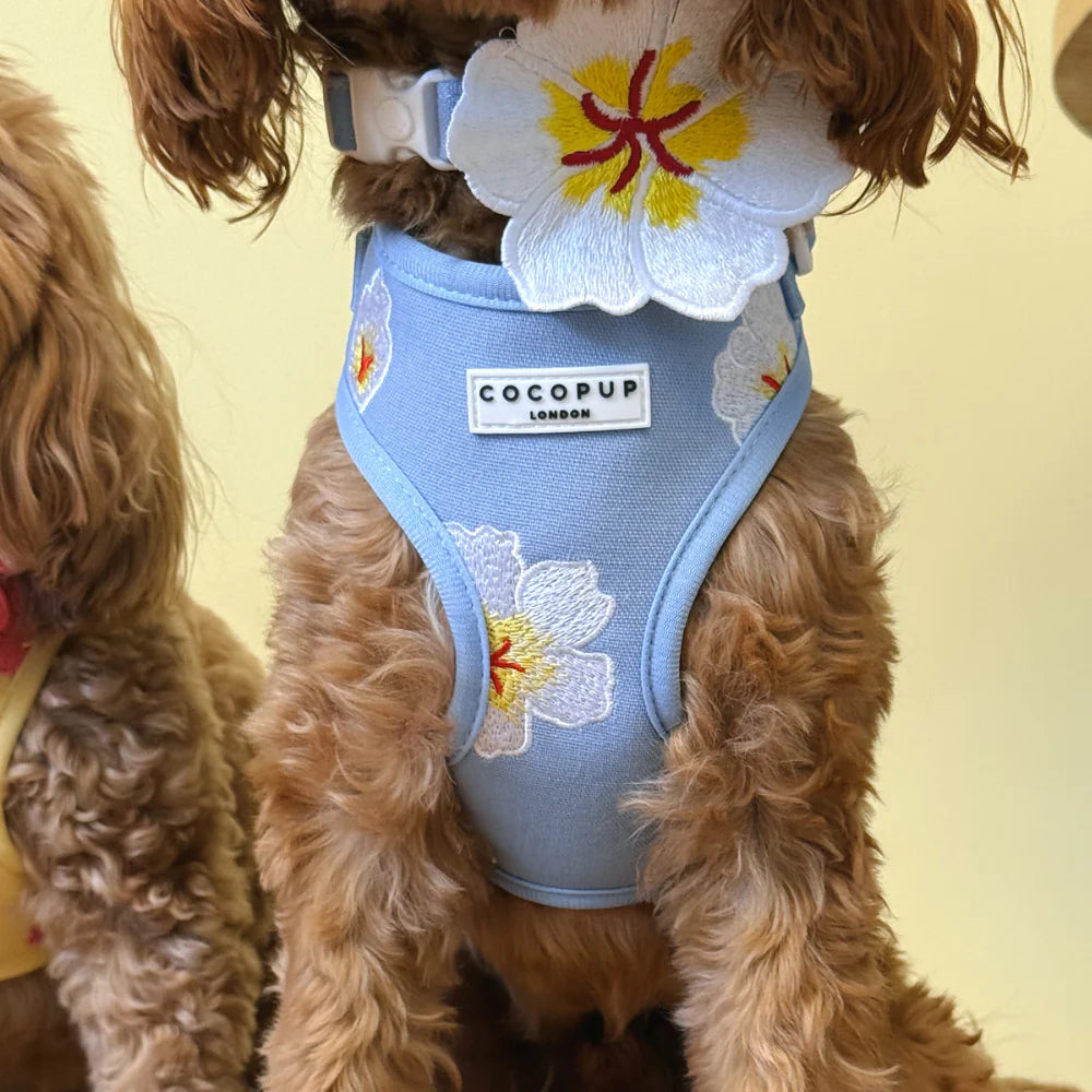 Blue Lagoon Harness