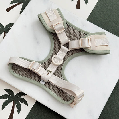 Palm Springs Harness