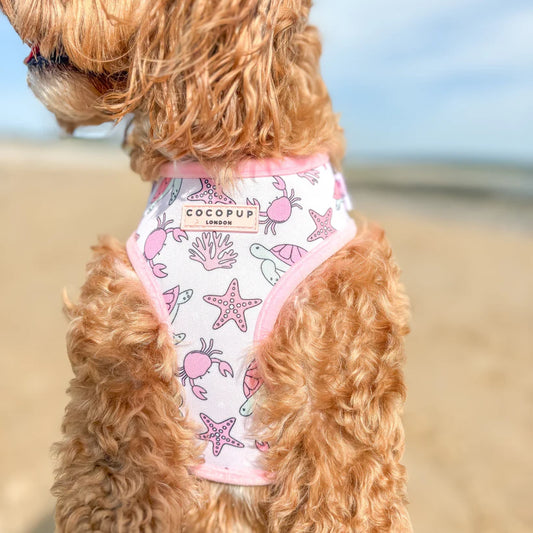 Pawcific Harness